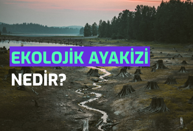 Semtrio-Blog-Post-Thumbnail