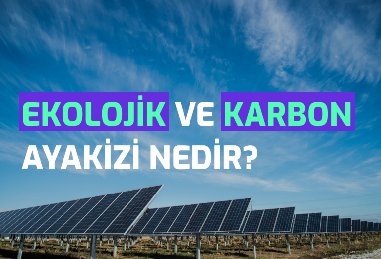 Semtrio-Blog-Post-Thumbnail