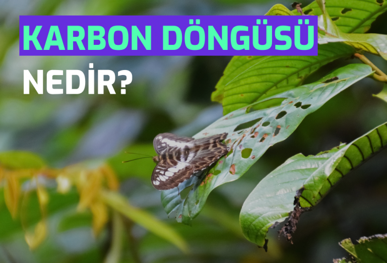 Semtrio-Blog-Post-Thumbnail