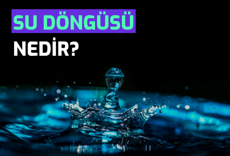 Semtrio-Blog-Post-Thumbnail