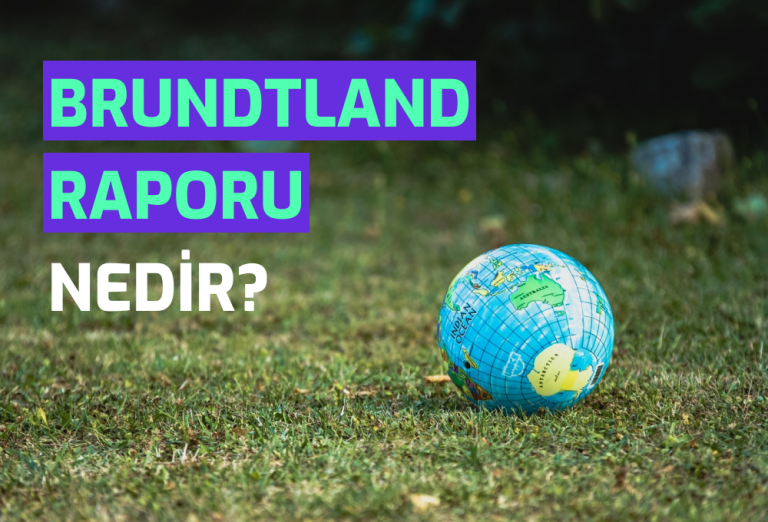 Semtrio-Blog-Post-Thumbnail