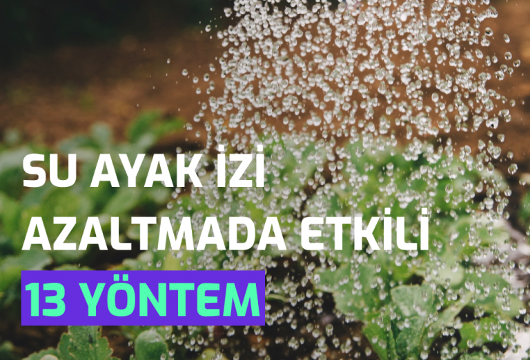 Semtrio-Blog-Post-Thumbnail