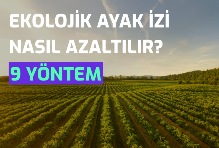 Semtrio-Blog-Post-Thumbnail