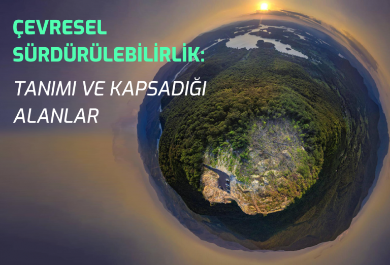 Semtrio-Blog-Post-Thumbnail