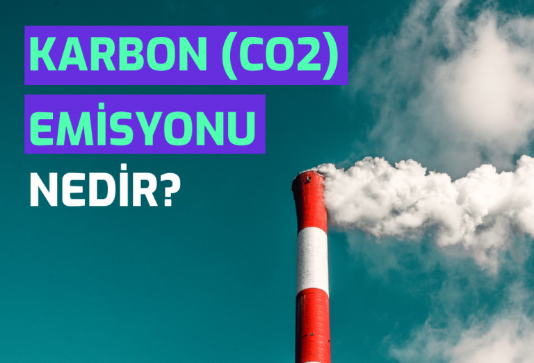 Semtrio-Blog-Post-Thumbnail