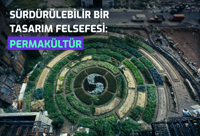 Semtrio-Blog-Post-Thumbnail